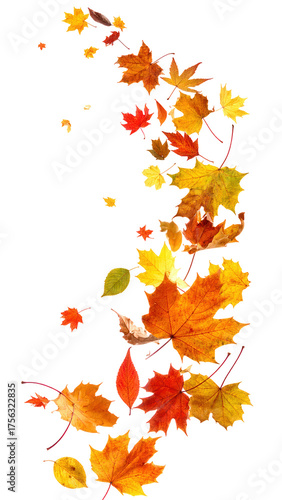 Vibrant autumn leaves gracefully swirl and dance in the breeze, a colorful cascade of seasonal change.