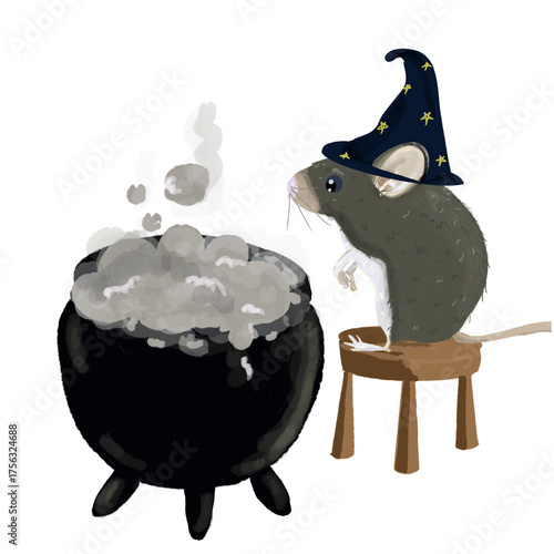 Mouse witch