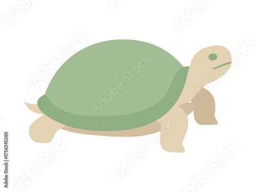 cute turtle vector