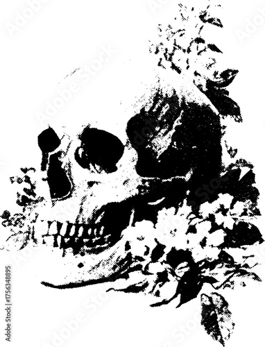 Gothic skull with floral detail in high contrast black and white design for posters or tattoo art