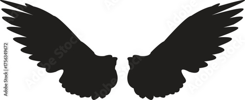 Bird Pair Spreading Wings in the Sky silhouette