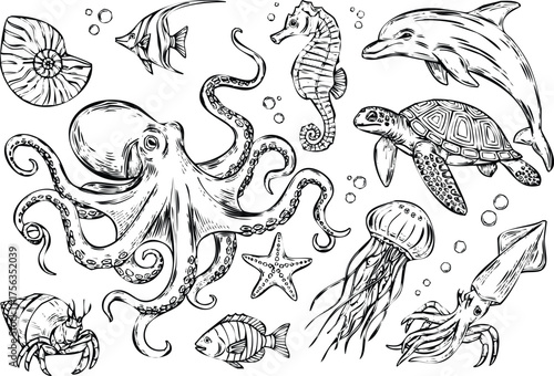 Vector art of collection of marine life sketches engraving art design