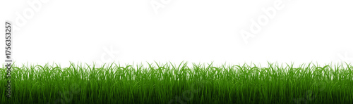 Green Grass Border With Isolated White Background