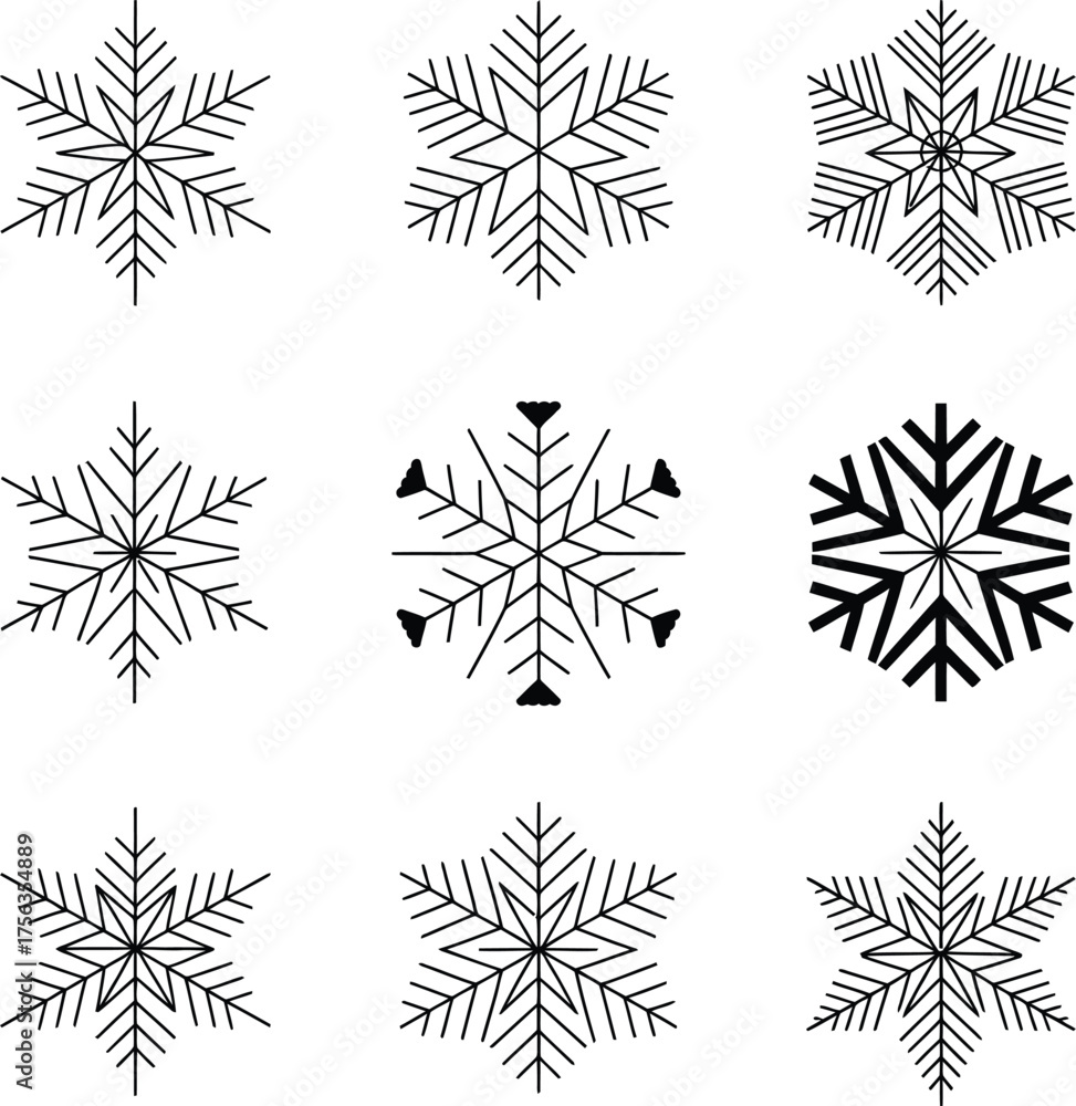 Obraz premium Collection of Intricate Black and White Snowflake Designs .