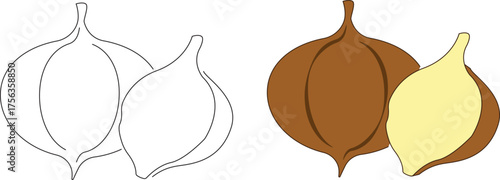 Jicama Fruit Flat Design Cartoon Icon Illustration