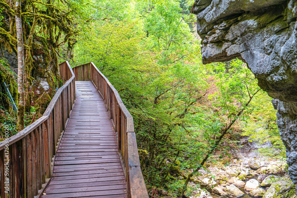 Fototapeta premium The scenic views of the Horma Canyon (Horma Kanyonu) in the fall season, an amazing place for nature lovers, captivated along the 3,500 m trekking route in the Küre Mountains, Kastamonu, Turkey.
