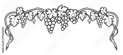 Art Nouveau Grapevine Border Vector - Minimalist Wine Culture Design