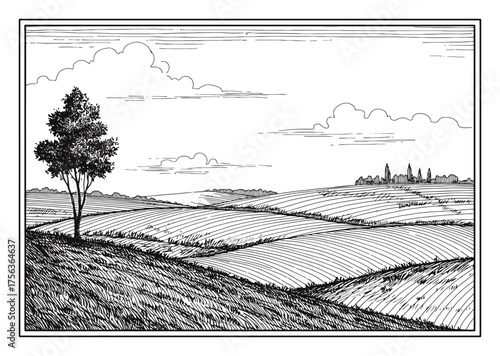 Renaissance Hatching Landscape Minimalist Vector Drawing, High Contrast Clean Lines