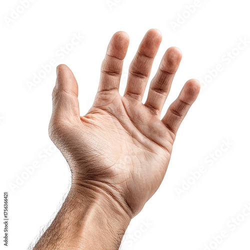 man's hand, male hand, Human Palm, Hand Gestures Female Fingers, Diverse Skin Tones, white background