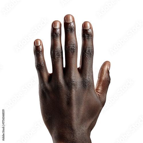 hand on white background