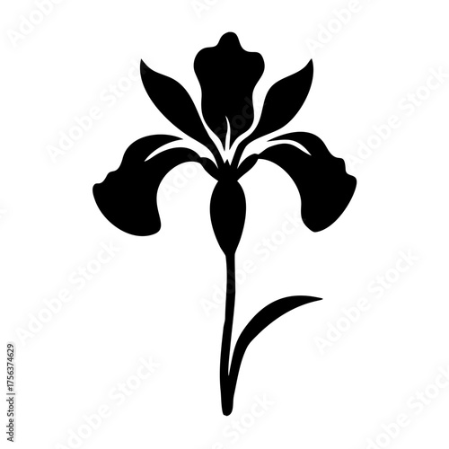 Vector art of black silhouette of a single iris flower with three upright petals and three drooping petals
