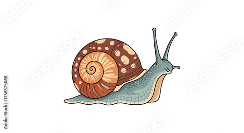 A detailed illustration of a garden snail with a colorful shell moving slowly on a white background.