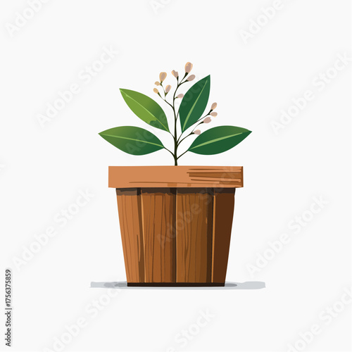 Blumenkübel aus dunklem Holz