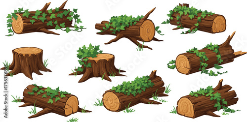 Tree stumps and fallen logs covered with green vines, moss, and grass, natural forest wood elements for landscape design and nature vector illustration