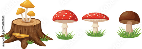 Mushroom and tree stump illustration vector set, red spotted fungi, yellow fungus, cartoon forest elements, botanical icons, nature design
