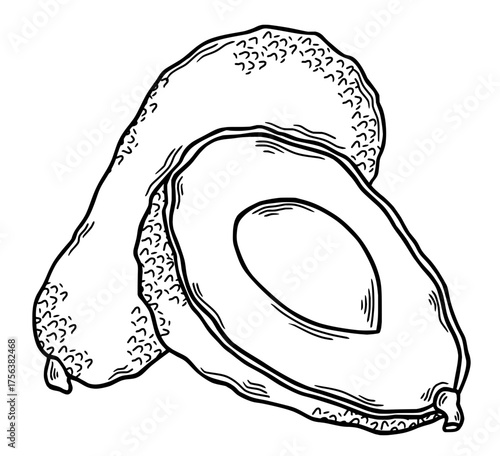 Hand drawn avocado illustration, a healthy superfruit perfect for culinary projects and dietary content
