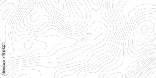 Topography background. Vector banner. Topography map background. Vector geographic contour map. Background of the topographic map. Topographic map lines, contour background.	