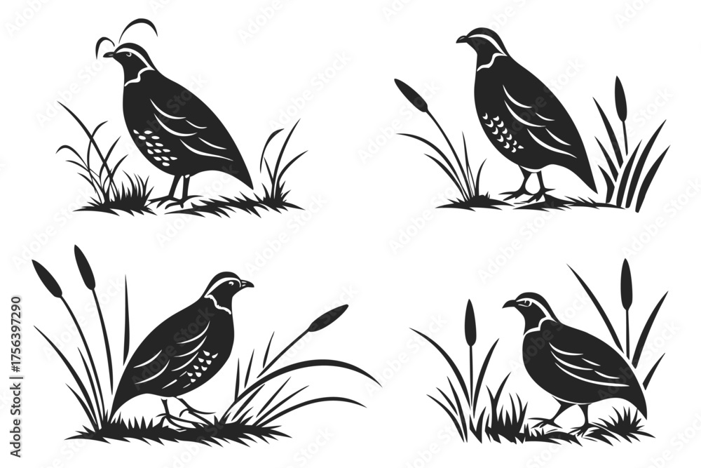 Obraz premium Minimalist quail in grass icon set with eight unique designs