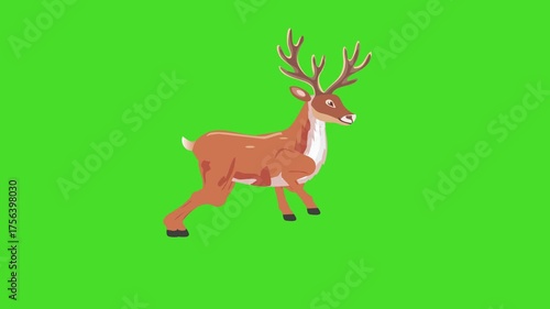 Jumping reindeer animation on green screen loop 2d for Hollidays Christmas
