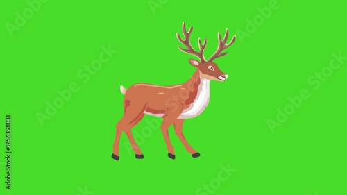 Walking reindeer loop on green screen, 2d animation for Christmas Holidays theme