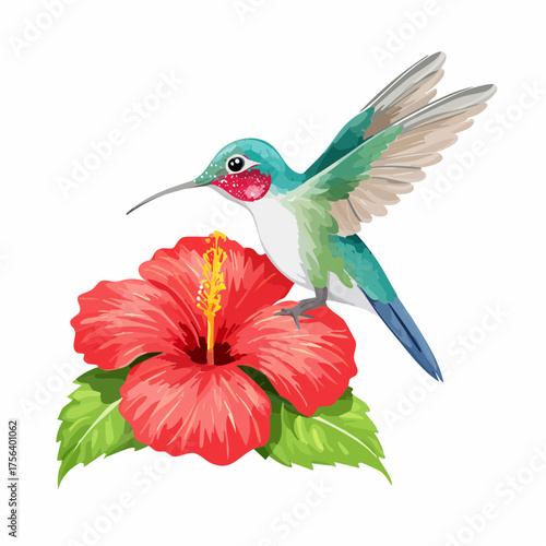 Kolibri auf Hibiskusblüte