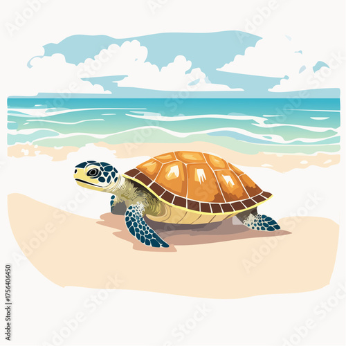Schildkröte am Strand