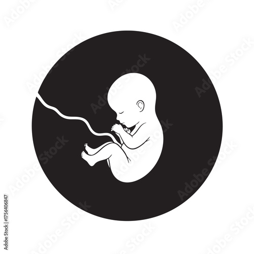 Wallpaper Mural White fetus and umbilical cord illustration inside a black circle baby unborn Torontodigital.ca