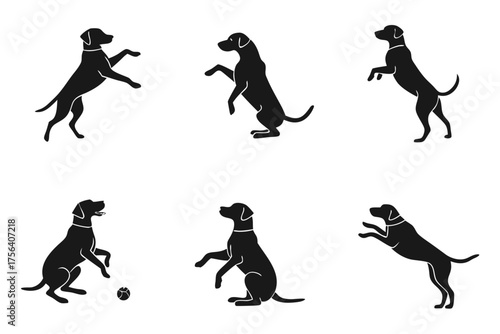 Playful dog icon set with multiple breeds and activities