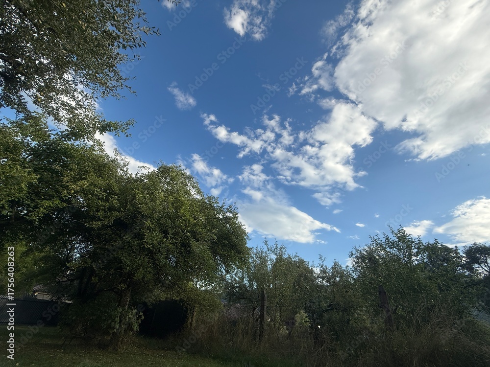 Obraz premium Blue sky with white clouds and green trees - idealistic autumn garden scenery