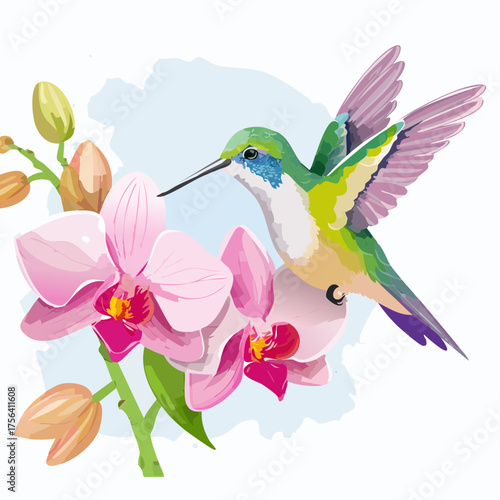 Kolibri auf Orchideenblüte