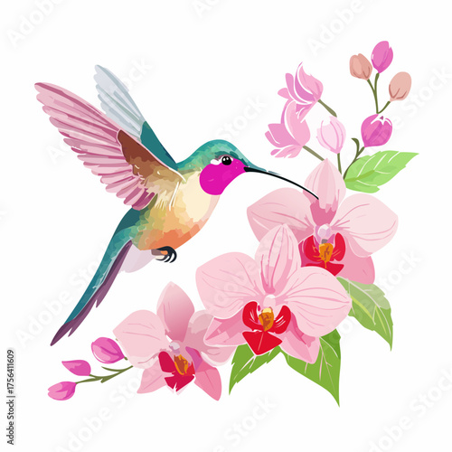 Kolibri auf Orchideenblüte