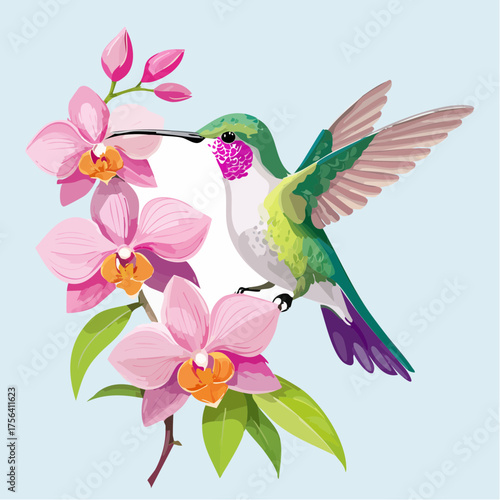 Kolibri auf Orchideenblüte