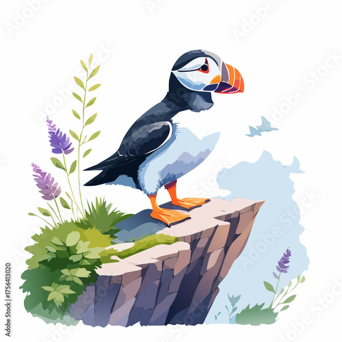 Papageitaucher auf Klippe