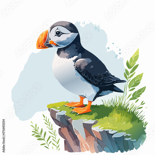 Papageitaucher auf Klippe