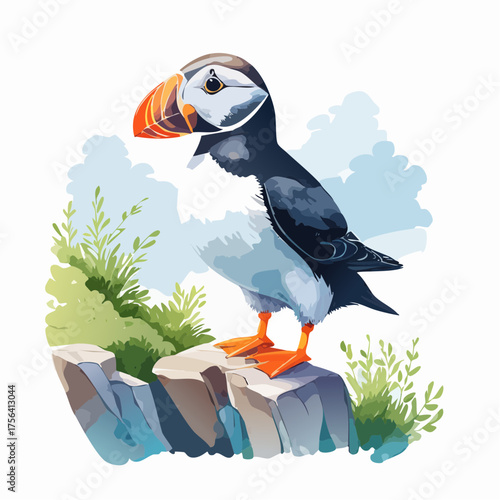 Papageitaucher auf Klippe