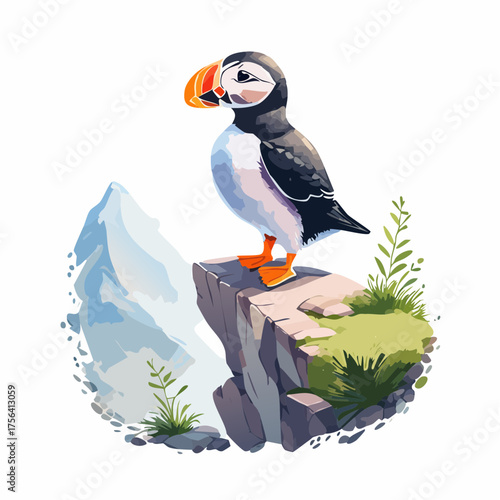 Papageitaucher auf Klippe