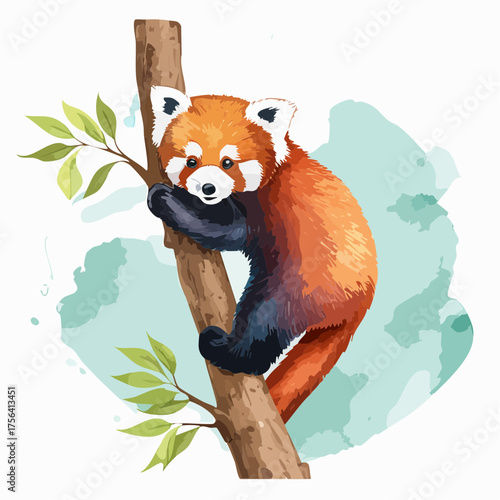 Roter Panda auf Baum