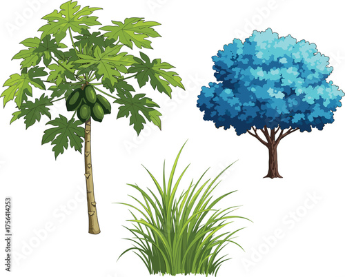 Illustration of papaya tree with fruits, deciduous tree with foliage, tall grass vegetation, tropical plants, natural environment, botanical variety, isolated background