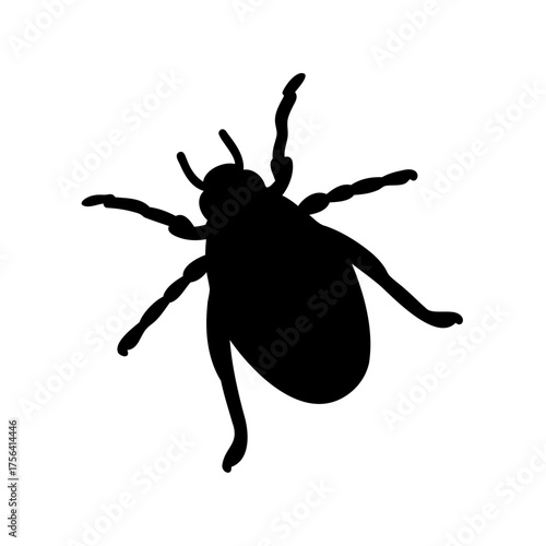 Isolated black silhouette of a beetle on a white background, vector illustration