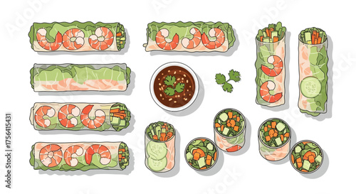 Fresh spring rolls with shrimp, vegetables, and dipping sauce illustration