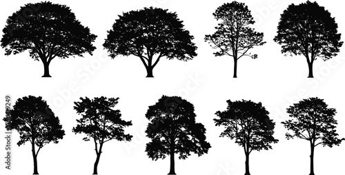 Collection of realistic tree silhouettes, detailed natural forest and park vector set for landscape, environment, and outdoor design projects