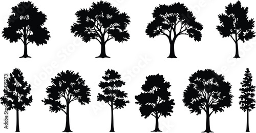 Set of realistic deciduous tree silhouettes, natural forest vector collection for landscape, environment, park, and outdoor nature design elements