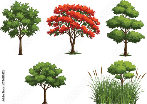 Collection of diverse trees and plants illustration, green foliage, autumn leaves, botanical variety, landscape design, nature concept, isolated white background