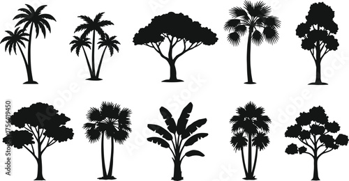 Tropical palm tree silhouettes collection, black vector illustration of exotic trees, beach jungle and island vegetation for nature design
