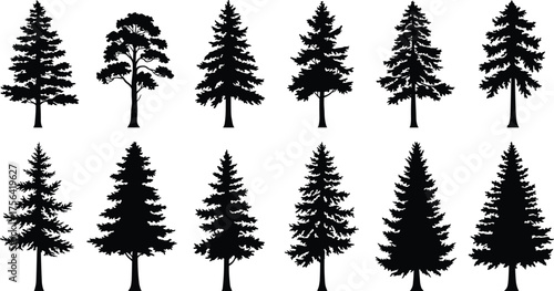 Collection of pine and spruce tree silhouettes, evergreen forest vector set, black tree shapes for nature design and illustration art