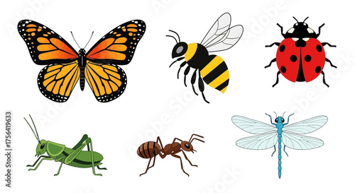 Illustration of butterfly bee ladybug grasshopper ant  dragonfly