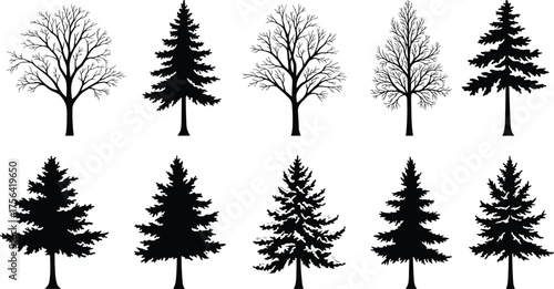 Silhouette collection of deciduous and pine trees, black tree vector set, forest elements, natural landscape illustration for design and art