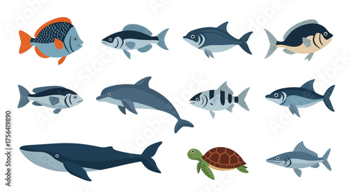 Marine life illustration various fish dolphin whale and turtle on a white background