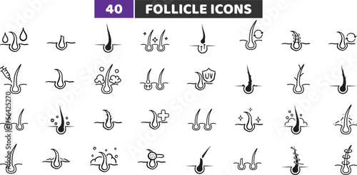 Follicle and Hair Root Icons Set, Growth Care and Dermatology Outline Vector Collection