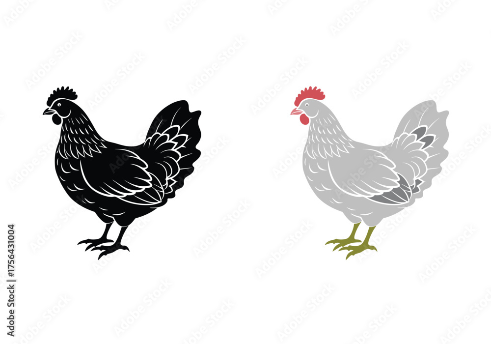Fototapeta premium Chicken or Hen Icon Set - Detailed vector illustration of a domesticated chicken in both a black silhouette and a stylized colored graphic, perfect for farm, agriculture, and food industry designs.